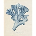 thumbnail image 2 of Wang, Melissa 12x14 White Modern Wood Framed Museum Art Print Titled - Sea Coral Study I, 2 of 4
