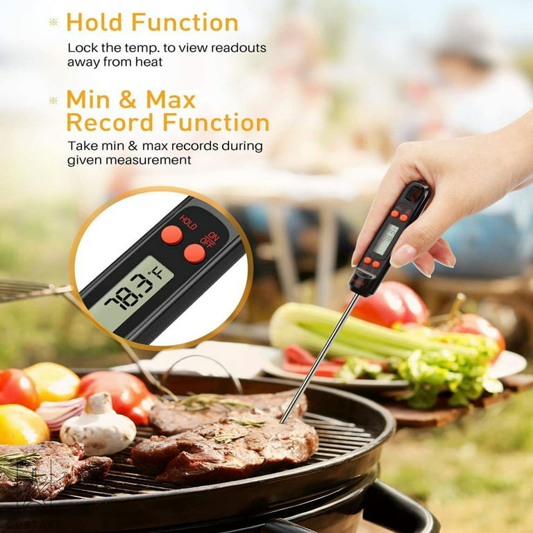 Gustave 2-Pack Digital Electronic Food Thermometer, Long Probe Digital  Instant Read Meat Thermometer for Grilling Smoker BBQ Kitchen Thermometer 