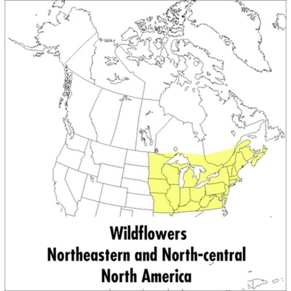 Pre-Owned A Peterson Field Guide to Wildflowers: Northeastern and North-Central North America (Paperback) 0395911729 9780395911723