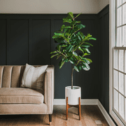 Fiddle Leaf Fig Tree - Artificial Trees for Home Decor Indoor, Faux Fiddle Leaf Fig Tree, Large Artificial Plants Indoor, Fake Tree Indoor, Fiddle Leaf Fig Tree Artificial, Artificial Tree - 5 Feet