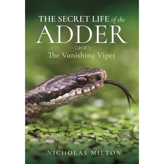 The Secret Life of the Adder (Hardcover)