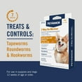 thumbnail image 2 of PETARMOR 7 Way De-Wormer for Puppies and Small Dogs, 2 of 6