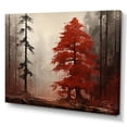 thumbnail image 2 of Designart "Monochromatic Redwood Enigma" Tree Redwood Wall Decor, 2 of 7