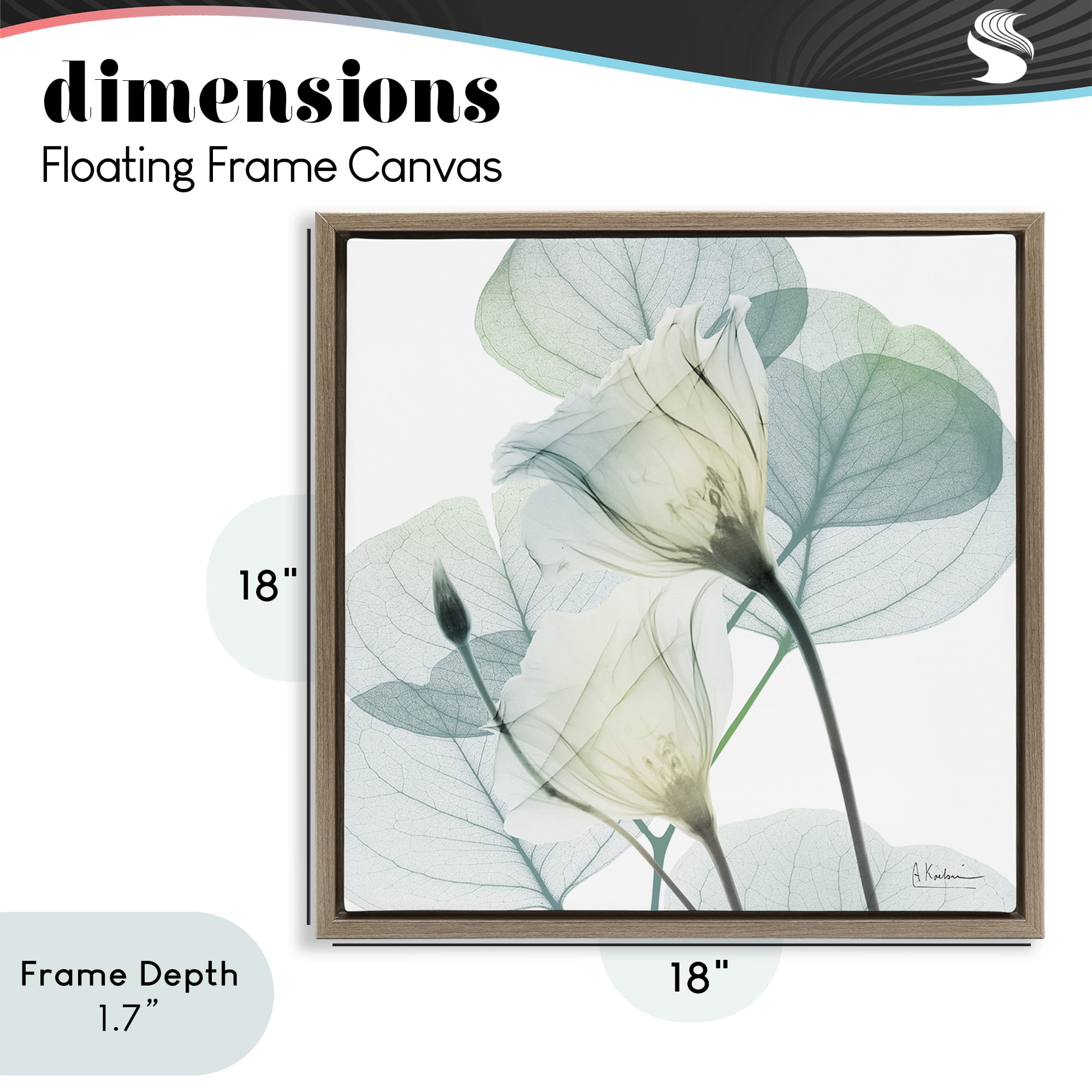 Stupell Industries Divine Fate Petals Brown Framed Floater Canvas Wall Art, design by Albert Koetsier