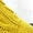 Yellow, variant on Yellow Stockings Womens Knee High Socks Solid Color Knitted Adjusted Calf Super Soft Thick Warm Non See Through Leg Warmer