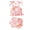 Orange Flower, variant on Newborn Baby Girl Clothes Floral Sleeveless Ruffle Tank Top Shorts Set Summer Outfits 0-18M