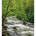 thumbnail image 3 of Ambesonne Appalachian Duvet Cover Sets, Creek in Spring Forest, 2-King, Lime Green Sage Green, 3 of 7