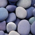 thumbnail image 3 of PhotoINC Studio 15x15 Black Modern Framed Museum Art Print Titled - Purple Pebbles, 3 of 5
