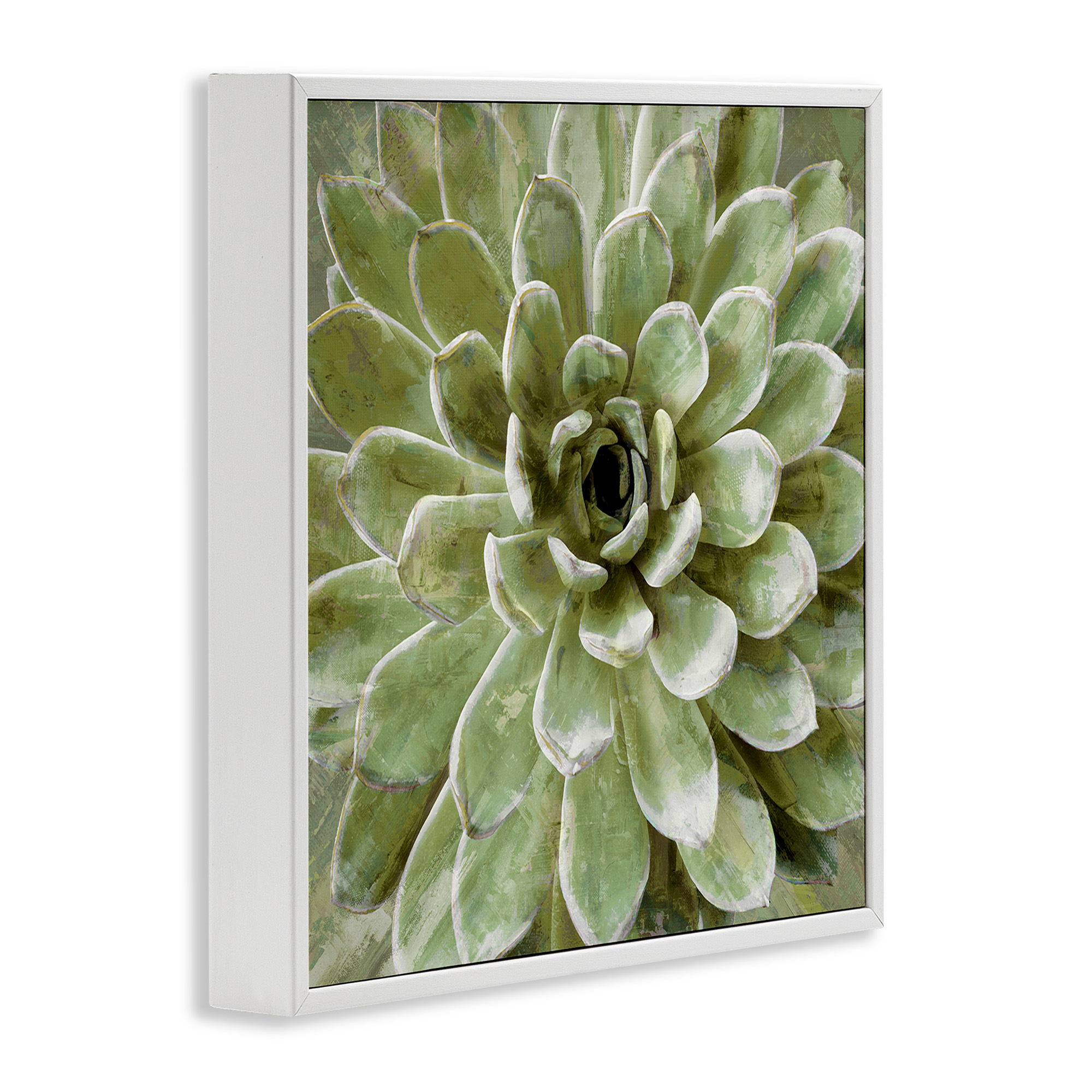 Stupell Industries Green Botanical Succulent Bloom Botanical & Floral Painting White Framed Art Print Wall Art, 17 x 17
