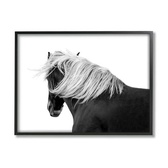 Stupell Industries Equestrian Photography Modern Horse Contrast Black White, 30 x 24,Design by Samantha Carter