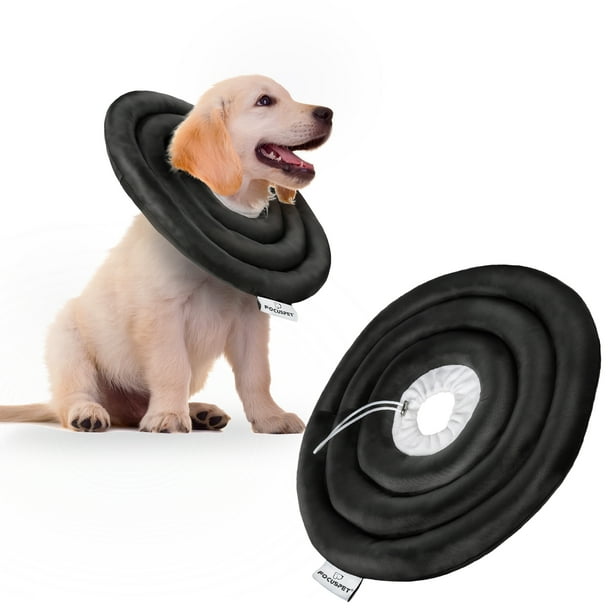 Can A Dog Have Water Before Surgery