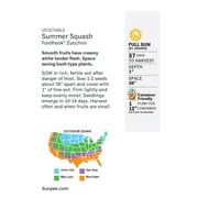 Burpee Fordhook Zucchini Summer Squash Vegetable Seed, 1-Pack