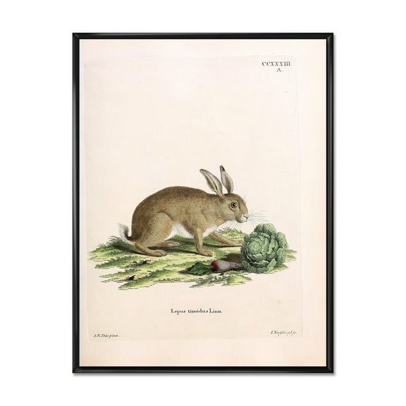 Designart 'Ancient Rabbits In Earth Tones' Farmhouse Framed Canvas Wall Art Print