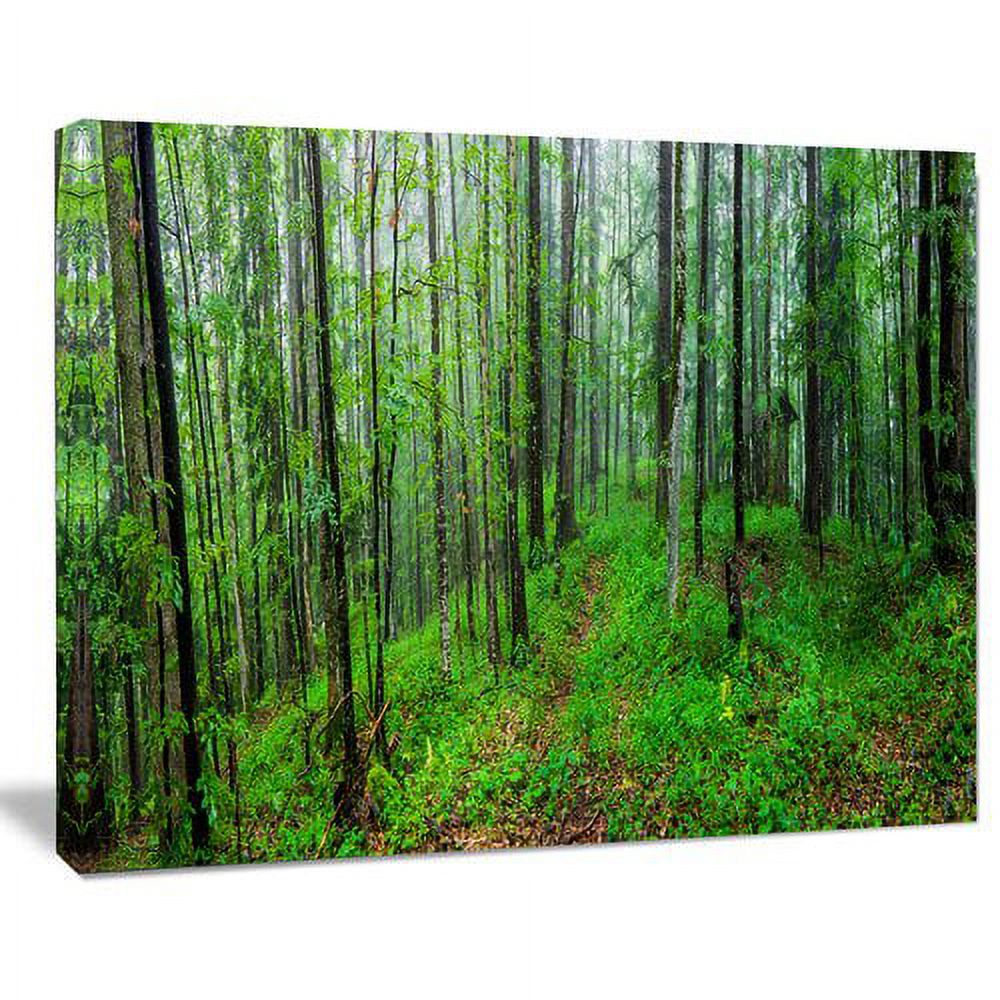 Designart 'Green Wild Forest with Dense Trees ' Forest Canvas Art Print