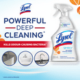 thumbnail image 3 of Nettoyant tout usage Lysol Simply ™, fleur d'oranger, 650 ml, 3 of 6