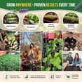 thumbnail image 5 of Organo Republic 18 Culinary Herbs Seeds Variety Pack - 10,180+ Heirloom, Non-GMO, Herbs Seeds, 5 of 6