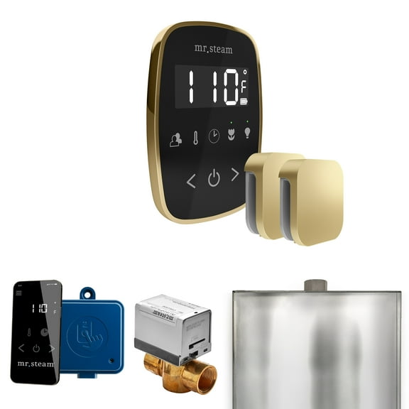 Mr Steam ButlerFlex Max Steam Shower Ctrl Pkg w/TempoFlex Control and Steamhead in Black Satin Brass