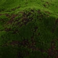 thumbnail image 3 of WASHWEPE Fake Grass Mat Artificial Grass Mat Rug Plastic for Miniature Landscapes 1Set, 3 of 8
