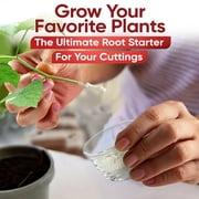 Hormex Rooting Hormone Powder #8 (0.80% IBA) for Semi-Hardwood Plants, Trees & Shrubs – High Strength Root Stimulator for Woody Cuttings, Cloning, Propagation