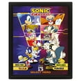 thumbnail image 1 of Sonic The Hedgehog Sélectionnez Votre Chasseur Affiche Lenticulaire Encadrée, 1 of 1