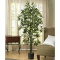 thumbnail image 3 of 6' Bamboo Silk Tree, Green Trunks, 3 of 7