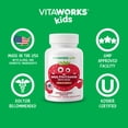 thumbnail image 6 of VitaWorks Kids Multivitamin with Iron & Minerals - Digestive Support for Children - 120 Chewables, 6 of 8