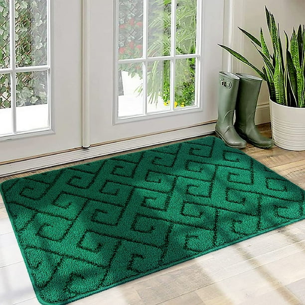 Walensee Indoor Doormat, Front Door Mat for Entrance, 32"x48" Green