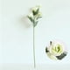 thumbnail image 4 of Uuiauoio Artificial Eustoma Flower Arrangement, Realistic Silk Simulation Bouquet for Home Decor and Wedding Photography, Stem with Green Accents, for Living Room and Events, 4 of 6