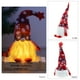 thumbnail image 1 of Decoración navideña GNOME con luces LED de 30 cm de altura, sueco Santa Tomte Santa Claus GNOME, decoración navideña estadounidense, regalos enanos escandinavos para niños, familia, amigos, Navidad ShuxiuWang 8390613599797, 1 of 1