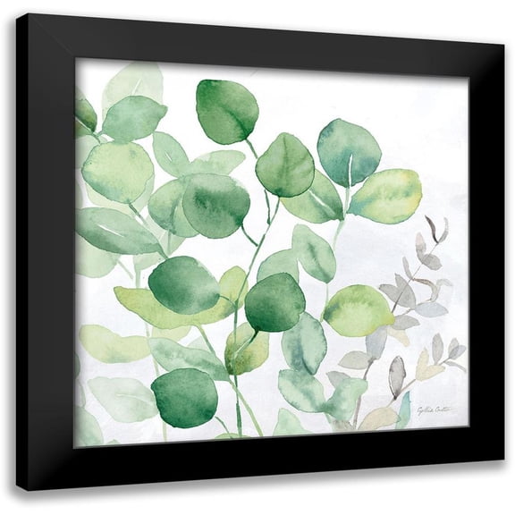 Coulter, Cynthia 12x12 Black Modern Framed Museum Art Print Titled - Eucalyptus Leaves II