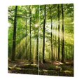 thumbnail image 2 of Forests Sunlight Printing Shading Curtains for Balcony Bedroom Drawing Room Window 150 * 166cm, 2 of 5