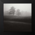 thumbnail image 2 of Cook, Jamie 15x15 Black Modern Framed Museum Art Print Titled - Fog Tree Study II, 2 of 5