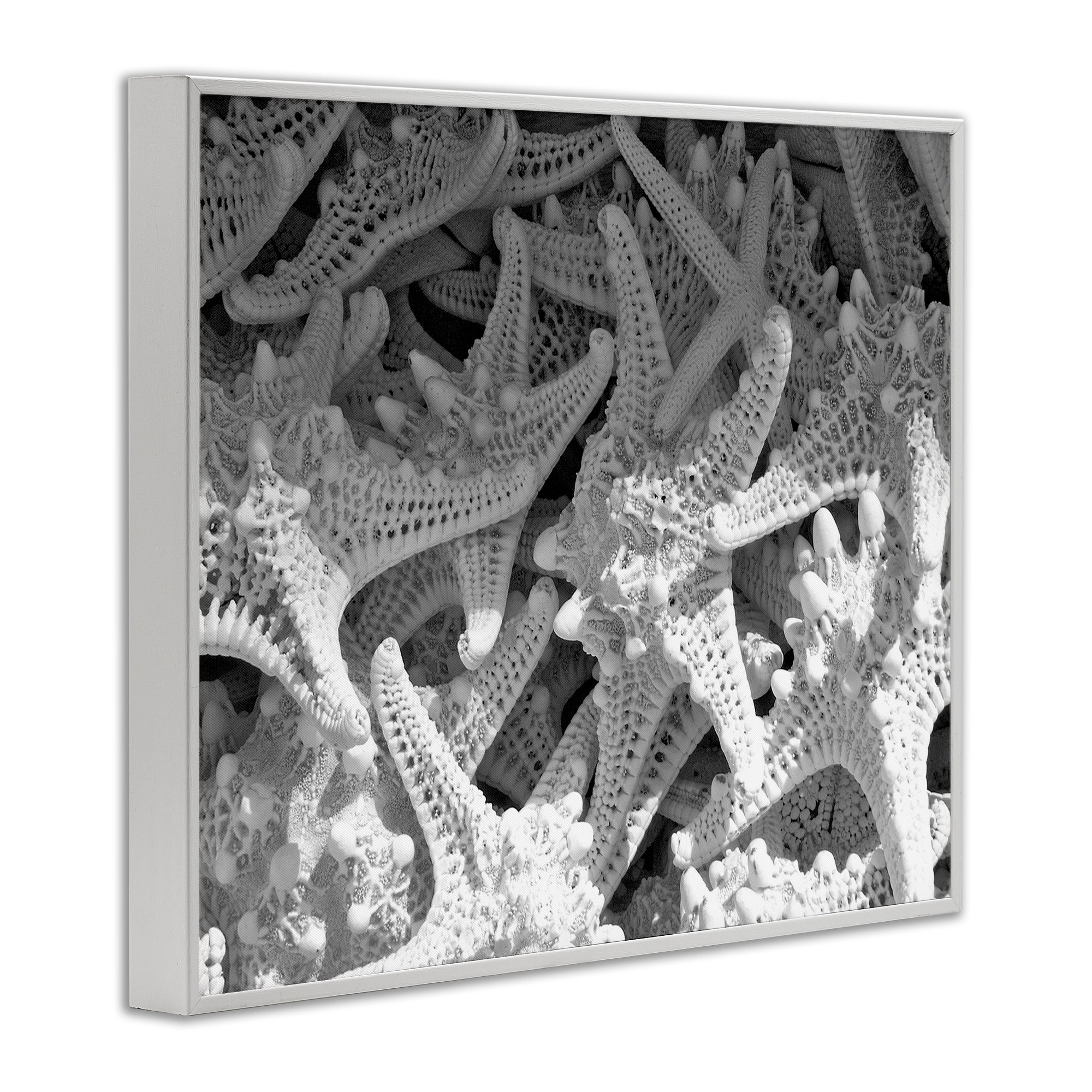 Stupell Industries Nautical Starfish Pile Coastal Photography White Framed Art Print Wall Art, 20 x 16