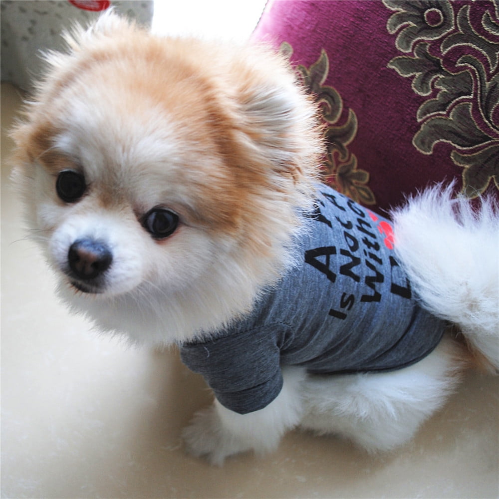 best dog clothes