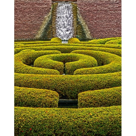 LAMINATED POSTER Los Angeles Park Hedgerow Garden Hedge Landscaping Poster Print 11 x