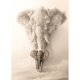 thumbnail image 1 of Pintura de diamante (DE4879) Cuadrado 5D DIY Elefante Animal Bordado (SM008) 45x60cm Hugtrwg Para estrenar, 1 of 1