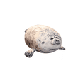thumbnail image 1 of 20cm Foca De Peluche Guatona Juguetes De Peluche AZUL, 1 of 1