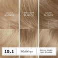 thumbnail image 5 of Clairol ColorStrong Permanent Zero Ammonia Hair Dye, 10.1 Extra Light Ash Blonde Maldives Hair Color, 1 Kit, 5 of 9