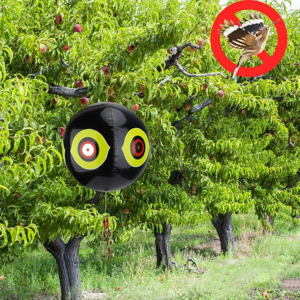 Globo con ojos de depredador de aves, repelente de aves inflable para asustar a los pájaros, ojos de terror, repelente de aves, valor excepcional