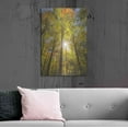 thumbnail image 6 of Luxe Metal Art 'Autumn Foliage Sunburst III' by Alan Majchrowicz,Metal Wall Art, 24"x36", 6 of 7