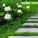 thumbnail image 5 of Decoraciones Al Aire Libre para Iluminación Del Paisaje Del Patio -Flower 2Pcs Linterna Lámpara de Decoración Del Patio Al Aire Libre, 5 of 7