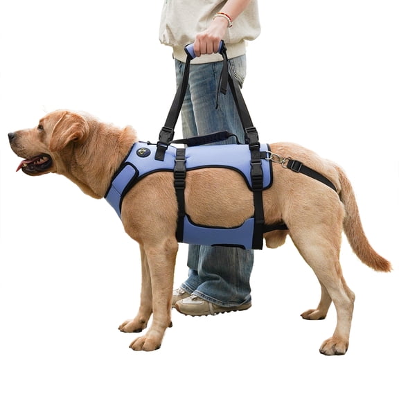 Coodeo Rehabilitation Support Series Adjustable Dog Lifting Aid Full Body Harnesses, Blue, S (14 in to 21 in Chest Size)