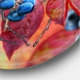 thumbnail image 3 of Designart 'Bright Bird Bullfinch Sitting On A Branch of Berries I' Traditional Circle Metal Wall Art 23x23 - Disc of 23, 3 of 5