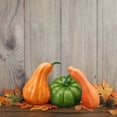 thumbnail image 4 of xiaxaixu Artificiel Citrouilles Décorations Halloween Simulation Mousse Citrouilles pour Halloween L'action de Grâce Automne Récolte Décorations Maison, 4 of 6