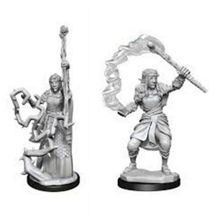 WizKids WZK90146 Dungeons & Dragons Firbolg Druid Female W13 Nolzurs Marvelous Miniatures