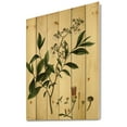 thumbnail image 2 of Designart 'Ancient Plant Life V' Traditional Print on Natural Pine Wood, 2 of 5