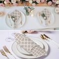thumbnail image 2 of Beige Moroccon Cloth Napkins, Farmhouse Minimalist Abstract Geometric Washable and Reusable Dinner Napkins Set of 4, Table Napkin for Kitchen Party Birthday Wedding Hotel Housewarming 20"x20", 2 of 8