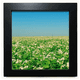 thumbnail image 1 of Cielo verde ciencias forestales paisajes naturaleza Mesa de pared con marco cuadrado negro, 1 of 4