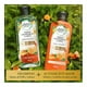 thumbnail image 4 of Shampoo Herbal Essences Bio:Renew toronja blanca y menta 400 ml, 4 of 4