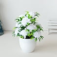 thumbnail image 3 of 12 Headed Chrysanthemum Potted Green Floral Arrangement Desktop For Home Centerpiece Wedding Details Fall Flowers Outdoor Flower Arrangements in Vase Wall Flowers Bouquet Holder for Flowers Winter, 3 of 5